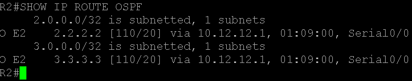 89344-show ip route ospf