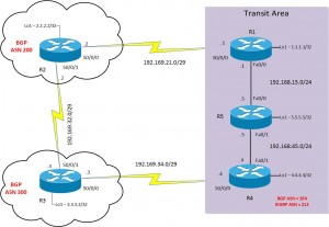 BGP lab topology