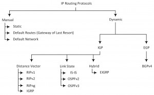 IP Routing Protocols