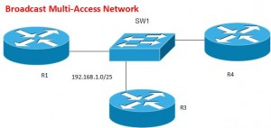 OSPF BMAN