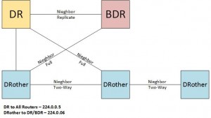 OSPF DR Concept