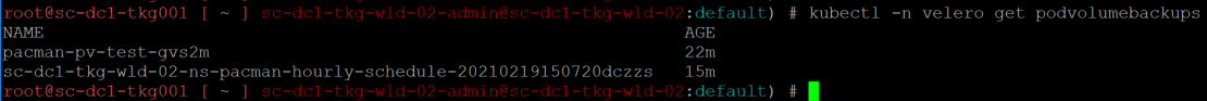 TMC Data Protection - Restic - kubectl -n velero get podvolumebackups
