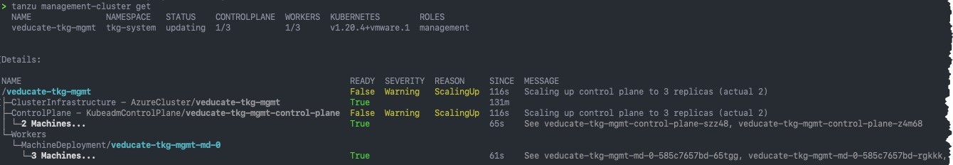 Deploy Management cluster to Azure - tanzu cluster scale - get progress