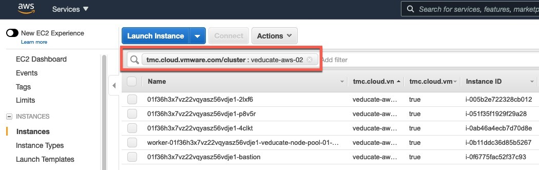 Tanzu Mission Control - AWS Consoles - Instances - Filtered tmc.cloud.vmware.com