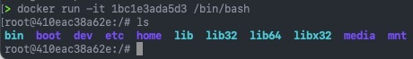 docker run -it image_id bash