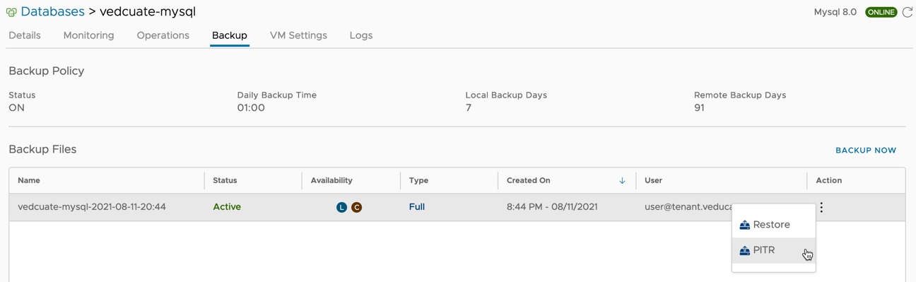 Data Management for Tanzu - Org User - Backup