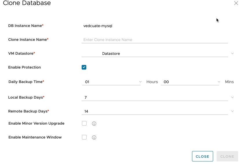 Data Management for Tanzu - Org User - Clone Database