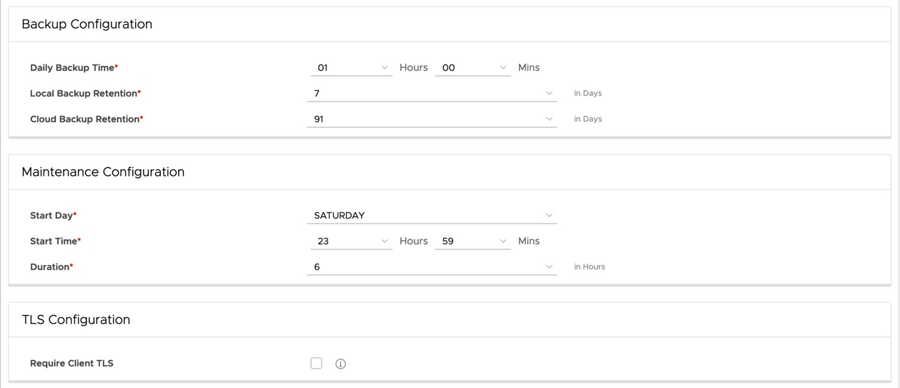 Data Management for Tanzu - Org User - Create Database - Additional Configuration 2