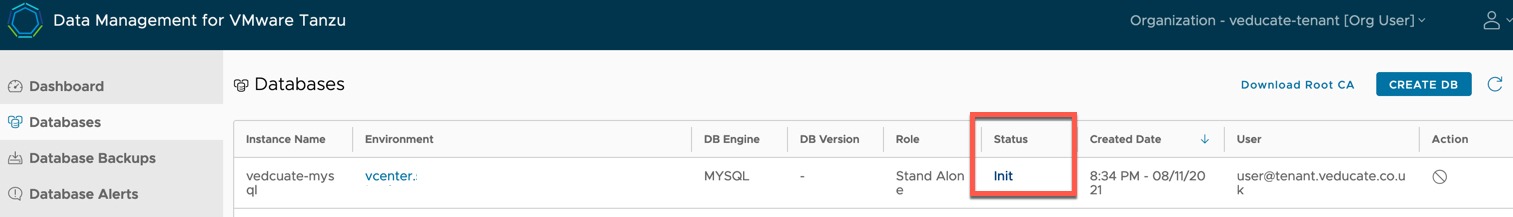Data Management for Tanzu - Org User - Create Database - Init
