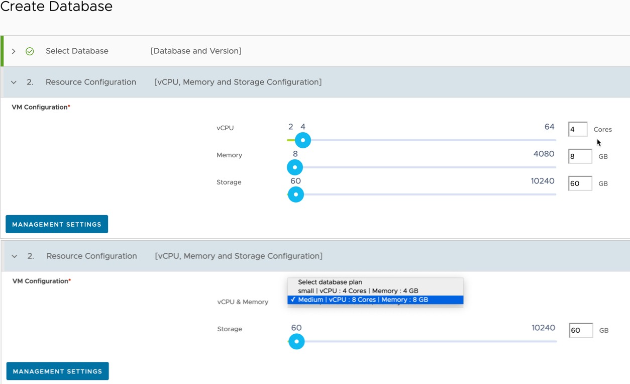 Data Management for Tanzu - Org User - Create Database - Resource Configuration