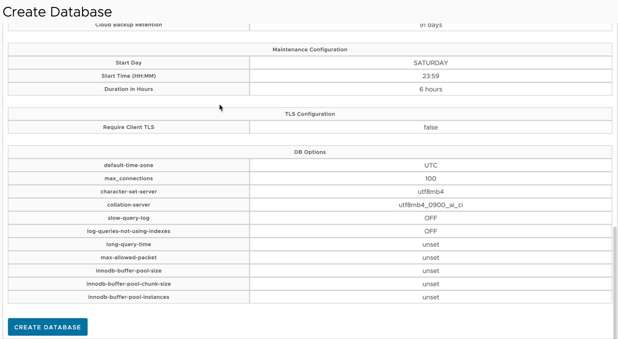 Data Management for Tanzu - Org User - Create Database - Summary Create Database