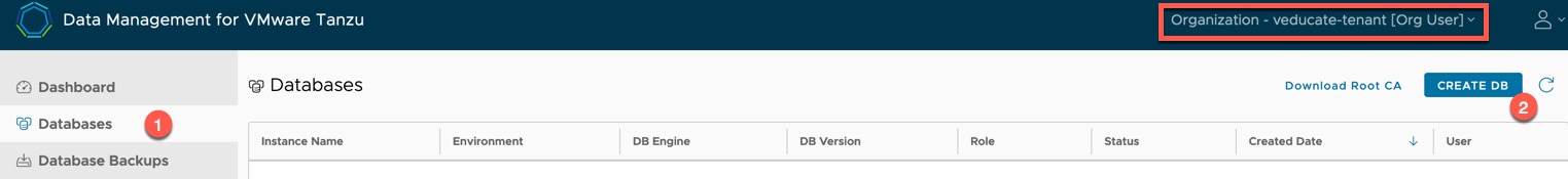 Data Management for Tanzu - Org User - Create Database