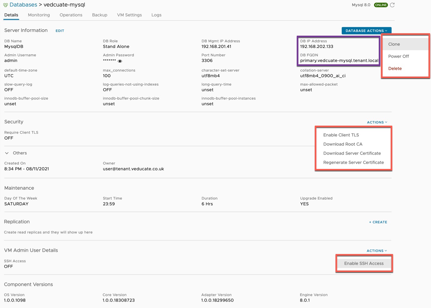 Data Management for Tanzu - Org User - Database Details