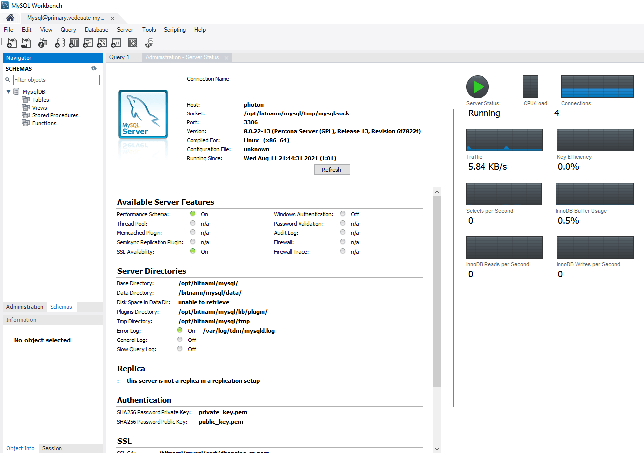 Data Management for Tanzu - Org User - MySQL workbench