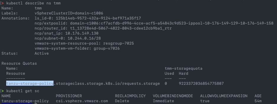 kubectl describe ns - kubectl get storageclass