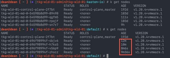 TKG - kubectl get nodes