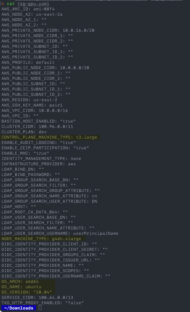 TKG with GPU workload cluster file