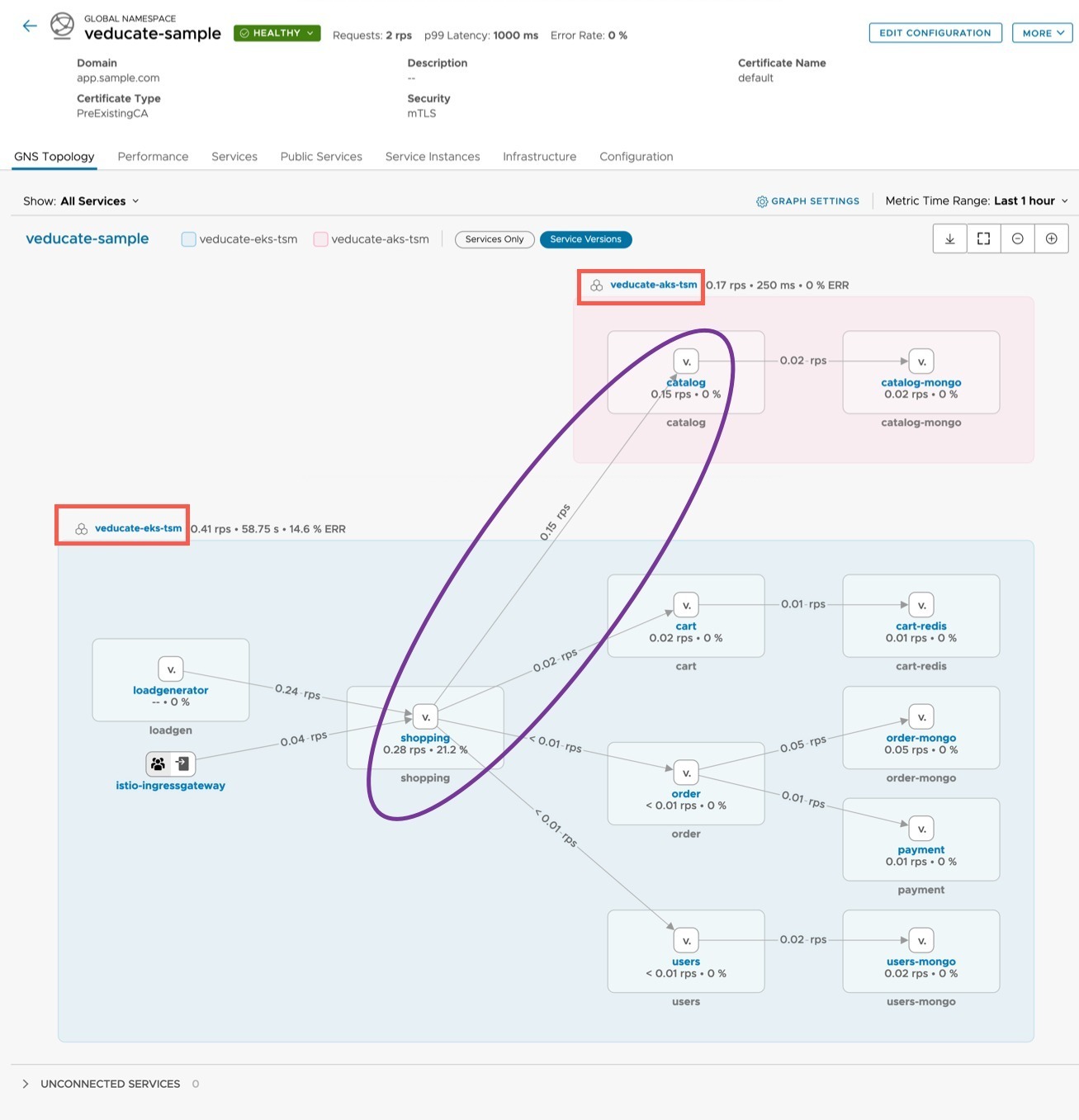 Tanzu Service Mesh - Global Namespace - GNS Topology