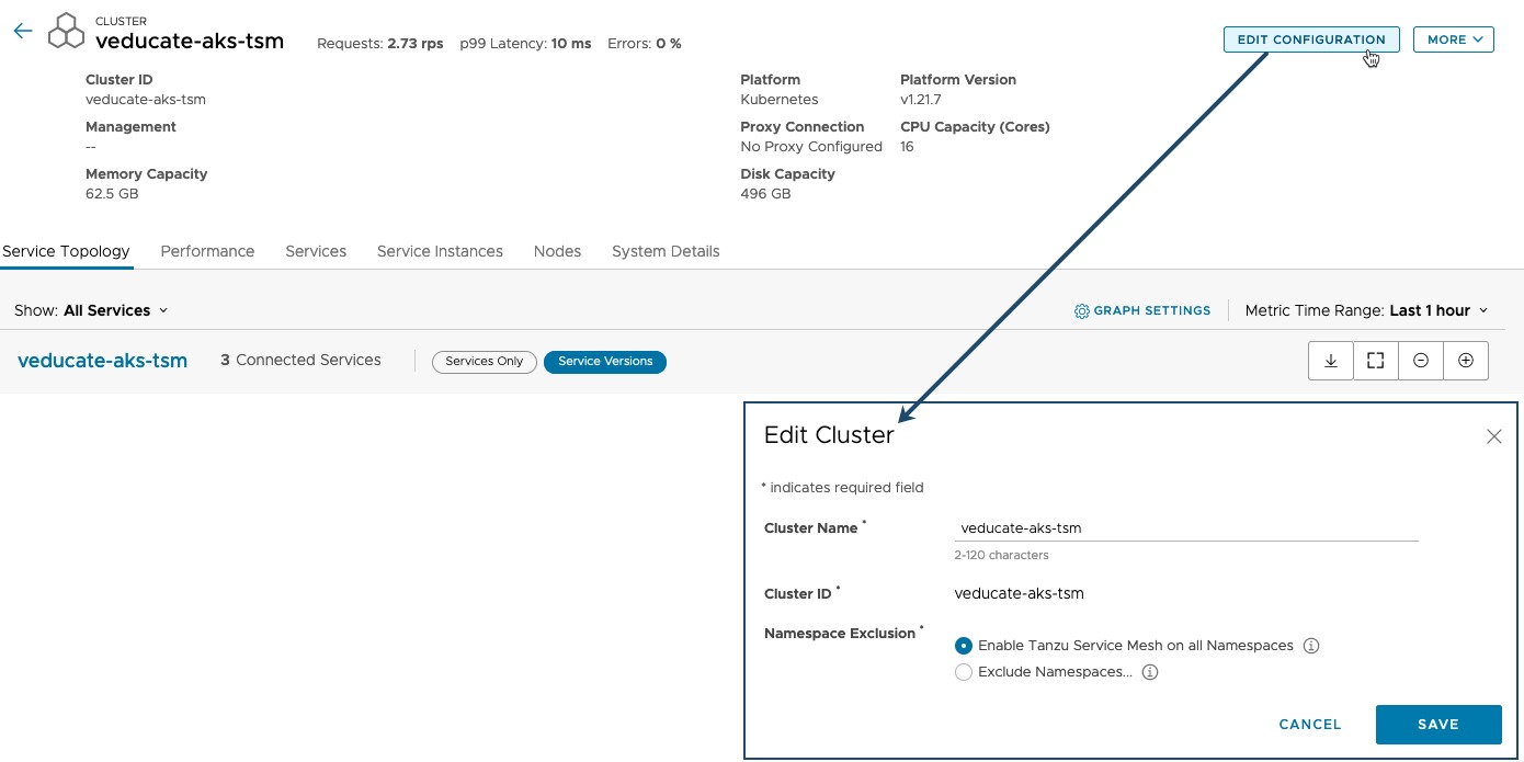Tanzu Service Mesh - Inventory - Cluster