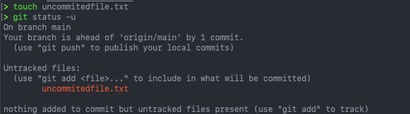 git status --untracked-files -u