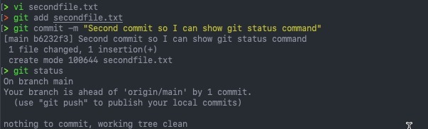 git status