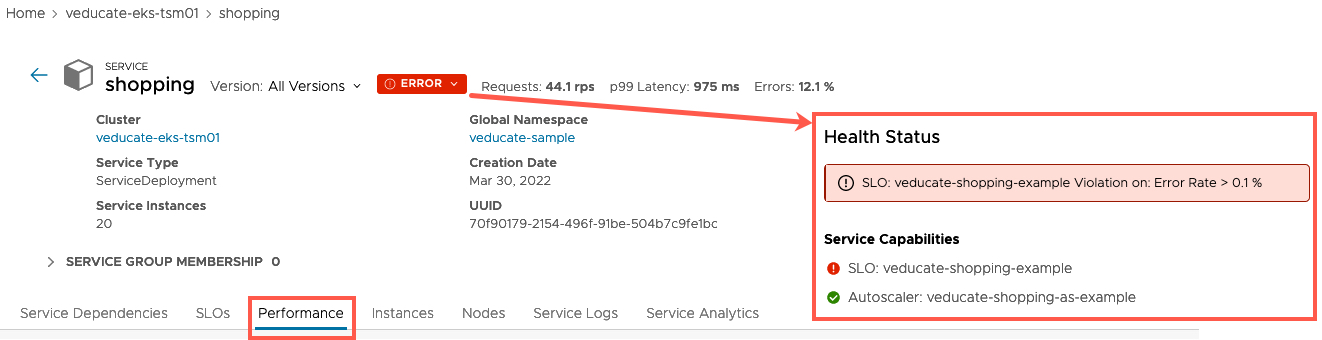 Tanzu Service Mesh - Global Namespace - Service - Error - Violation