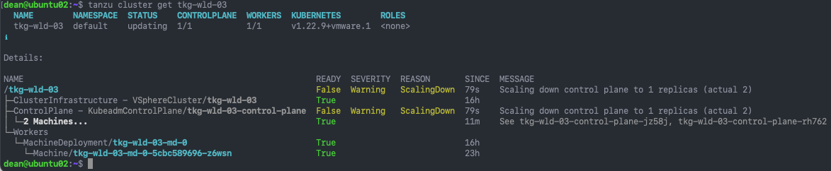 Tanzu Kubernetes Grid - Upgrade the Workload Cluster - Tanzu CLI commands - tanzu cluster get cluster_name