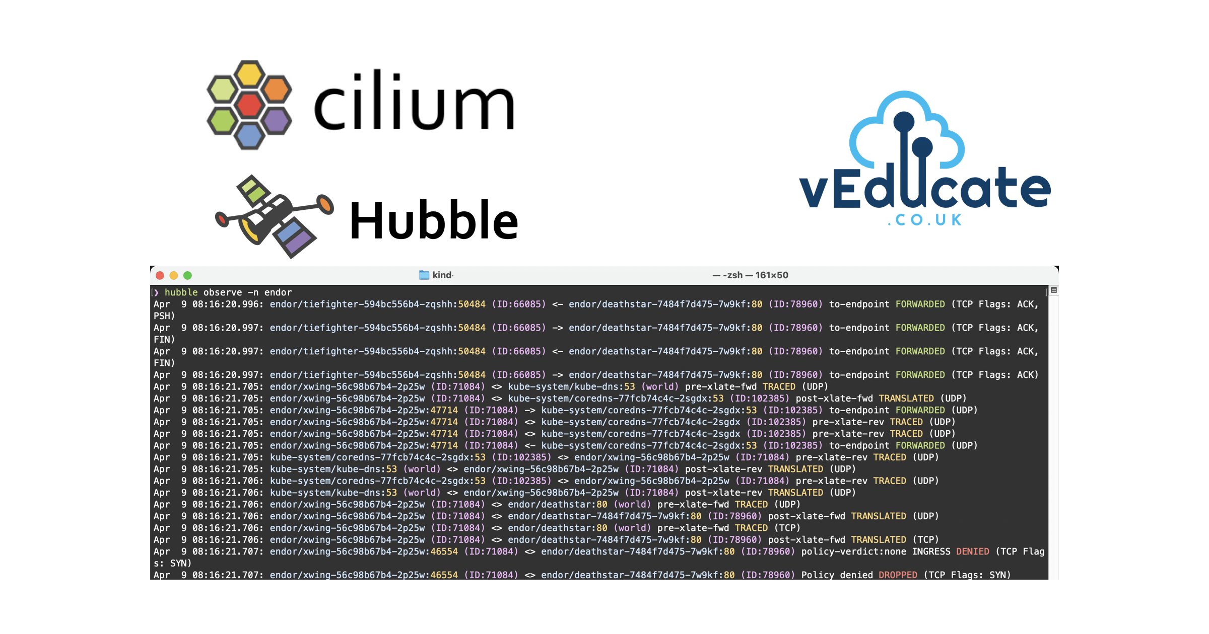 Cilium Hubble CLI - Header Image